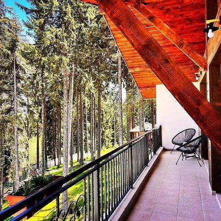 Boutique Villas Murgavets Pamporovo Esterno foto